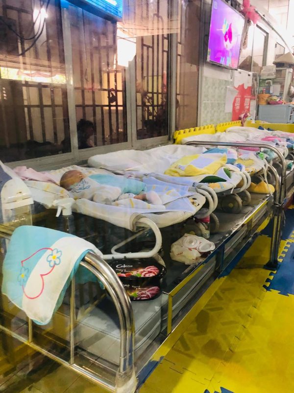 Hỗ trợ nuôi bé - Thủy Garden