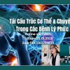Tái cấu trúc cơ thể