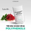 VIÊN UỐNG BỔ SUNG POLYPHENOLS