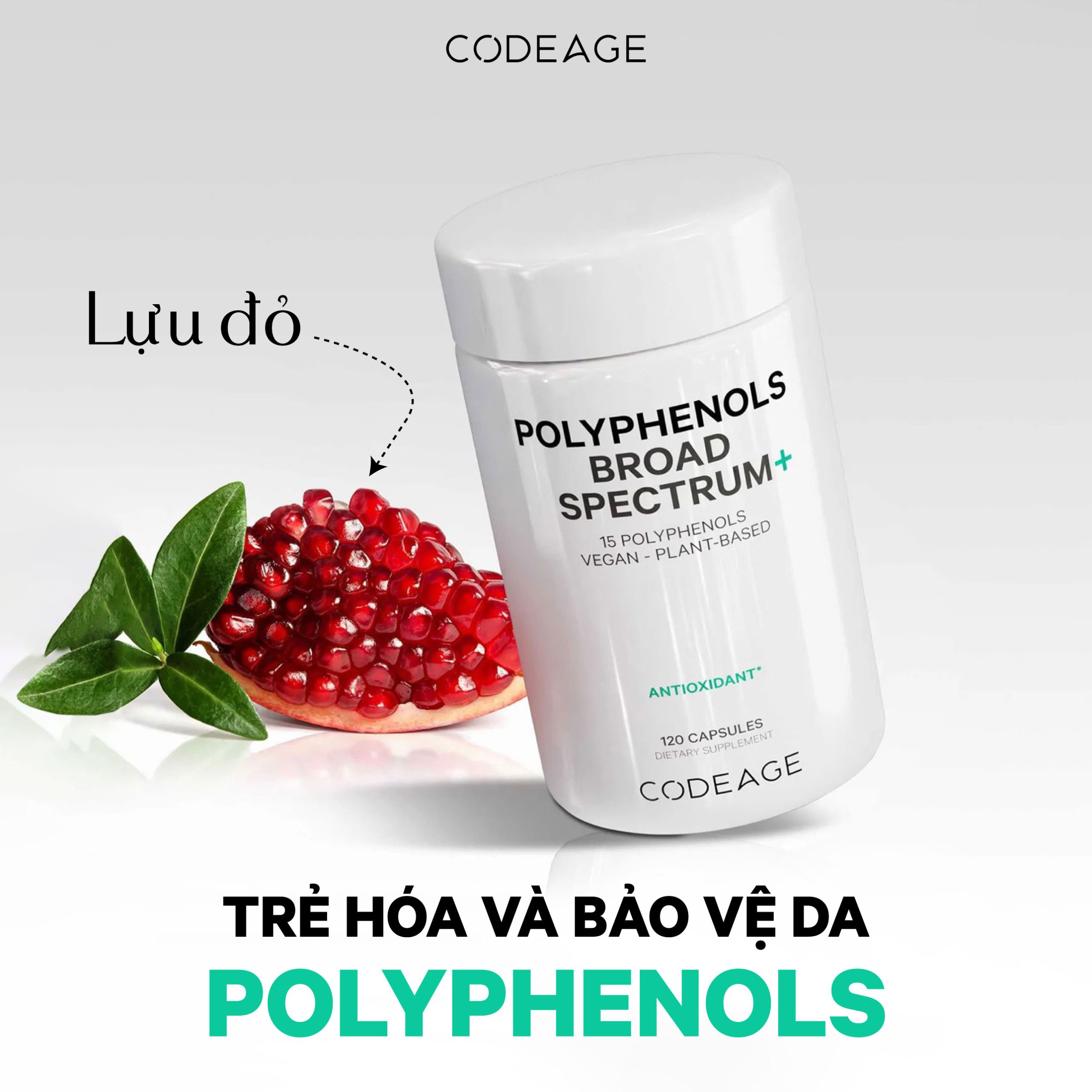 VIÊN UỐNG BỔ SUNG POLYPHENOLS